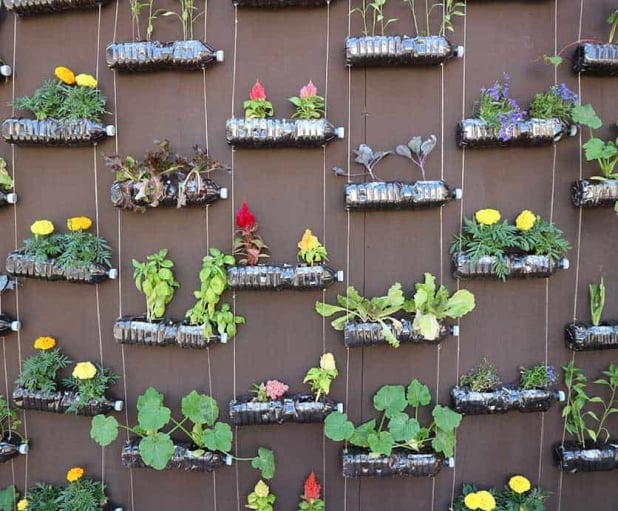 No-Till Gardening